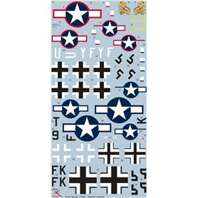Exotic Decals 72029 Beetle in Captivity Republic P-47 Thundebolt in German Hands