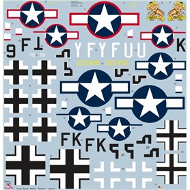 Exotic Decals 48029 Beetle in Captivity Republic P-47 Thundebolt in German Hands