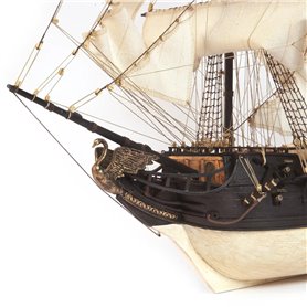 OcCre 1:75 Black Swan