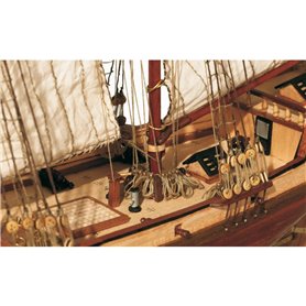 OcCre 1:100 Albatros + COLOR PACK