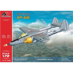 A&amp;A Models 1:72 Northrop XP-61E 