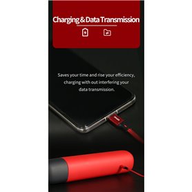 DSPIAE USB-TYC1 (56768)