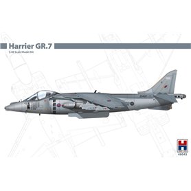 Hobby 2000 48043 Harrier GR.7