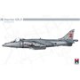 Hobby 2000 48044 Harrier GR.9