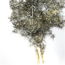 BLACK-WHITE FANTASY BUSHES