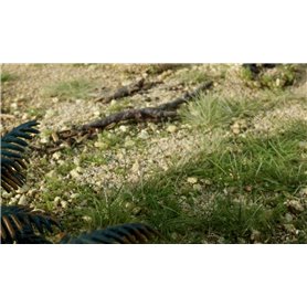 Woodland WG6595 Zestaw Do Trawy Statycznej