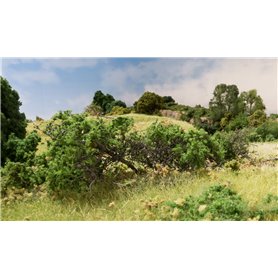 Woodland Scenics Wrzosiec suchy pośrednia zieleń