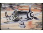 BILEK 1:72 Focke Wulf Fw-190 D-9