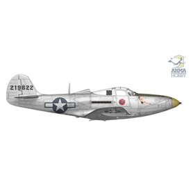 Arma Hobby 70058 P-39 Airacobra Reconnaissance