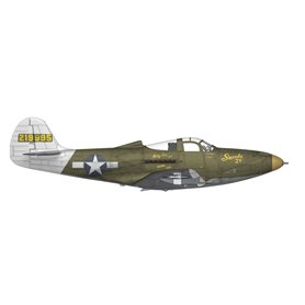 Arma Hobby 70058 P-39 Airacobra Reconnaissance