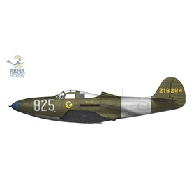 Arma Hobby 70058 P-39 Airacobra Reconnaissance