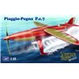 AMP 48011 Piaggio Pegna PC.7