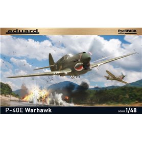 Eduard 82241 P-40E Warhawk 1/48