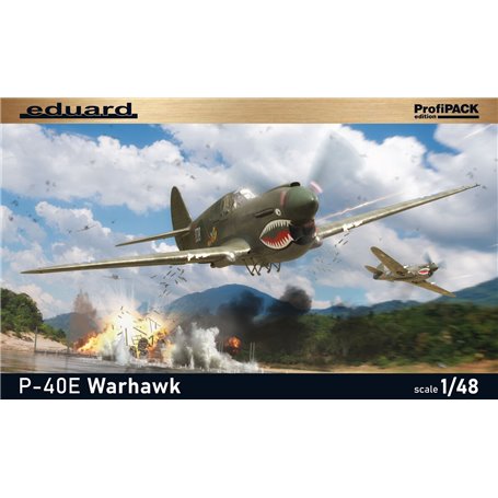 Eduard 82241 P-40E Warhawk 1/48