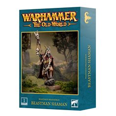 Beastmen Brayherds Beastman Shaman