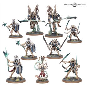 SPEARHEAD Ossiarch Bonereapers Mortisan Elite