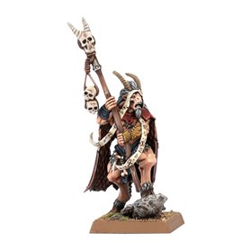 Beastmen Brayherds Beastman Shaman