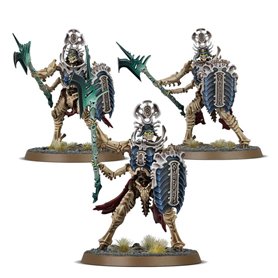 SPEARHEAD Ossiarch Bonereapers Mortisan Elite