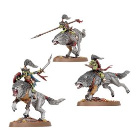 Gloomspite Gitz Snarlboss & Wolfgit Retinue