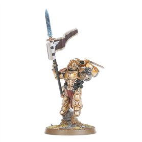 Blood Angels Sanguinary Guard