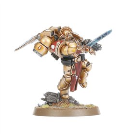 Blood Angels Sanguinary Guard