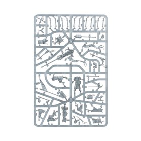 Cities Of Sigmar Freeguild Fusilliers