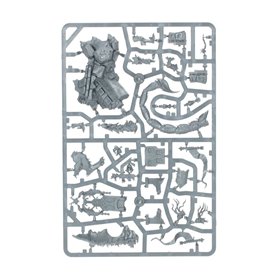 Cities Of Sigmar Tahlia Vedra Lioness Of The Parch