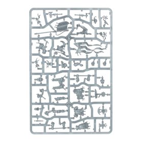 Cities Of Sigmar Freeguild Command Corps