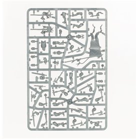 Cities Of Sigmar: Freeguild Steelhelms