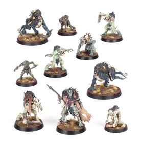 Warhammer AGE OF SIGMAR - WARCRY: Royal Beastflayers Warband