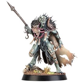 Warhammer AGE OF SIGMAR - WARCRY: Royal Beastflayers Warband