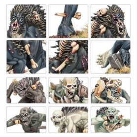 Warhammer AGE OF SIGMAR - WARCRY: Royal Beastflayers Warband