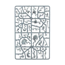 Warhammer AGE OF SIGMAR - WARCRY: Royal Beastflayers Warband
