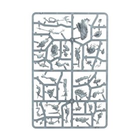 Warhammer AGE OF SIGMAR - WARCRY: Royal Beastflayers Warband