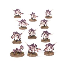 Warhammer 40000 Introductory Set