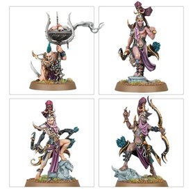 VANGUARD Hedonites Of Slaanesh
