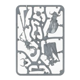 VANGUARD Hedonites Of Slaanesh