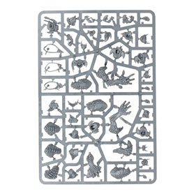 Vanguard: Gloomspite Gitz