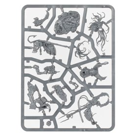 Orks Zodgrod Wortsnagga