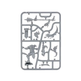 Warhammer AGE OS SIGMAR - HEDONITAS OF SLAASNESH: Lord Of Pain
