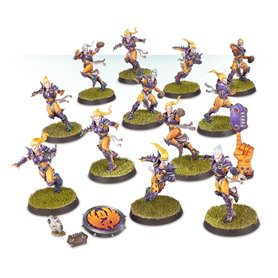 Blood Bowl Elven Union Team