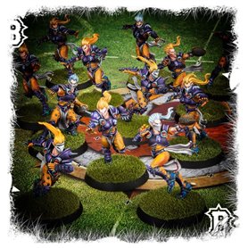Blood Bowl Elven Union Team