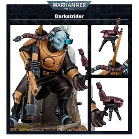 Tau Empire Darkstrider