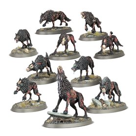 Soulblight Gravelords: Dire Wolves