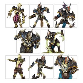 Blood Bowl Champions Of Death Team