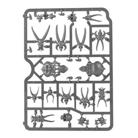 Citadel Skulls