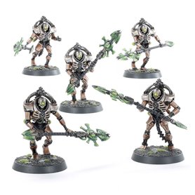 Necron Lychguard / Triarch Praetorians