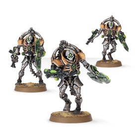 Necron Lychguard / Triarch Praetorians