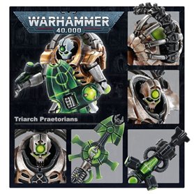Necron Lychguard / Triarch Praetorians