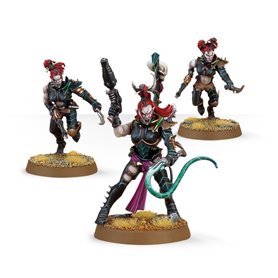 Drukhari Wyches